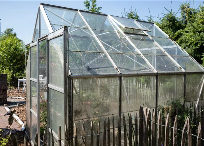 Gewächshäuser richtig bepflanzen – Mit wenigen Tricks zu reicher Ernte