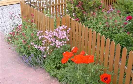 Schick eingerahmt - Die große Vielfalt der Gartenzäune