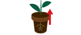 Floragard Wachstumsboost