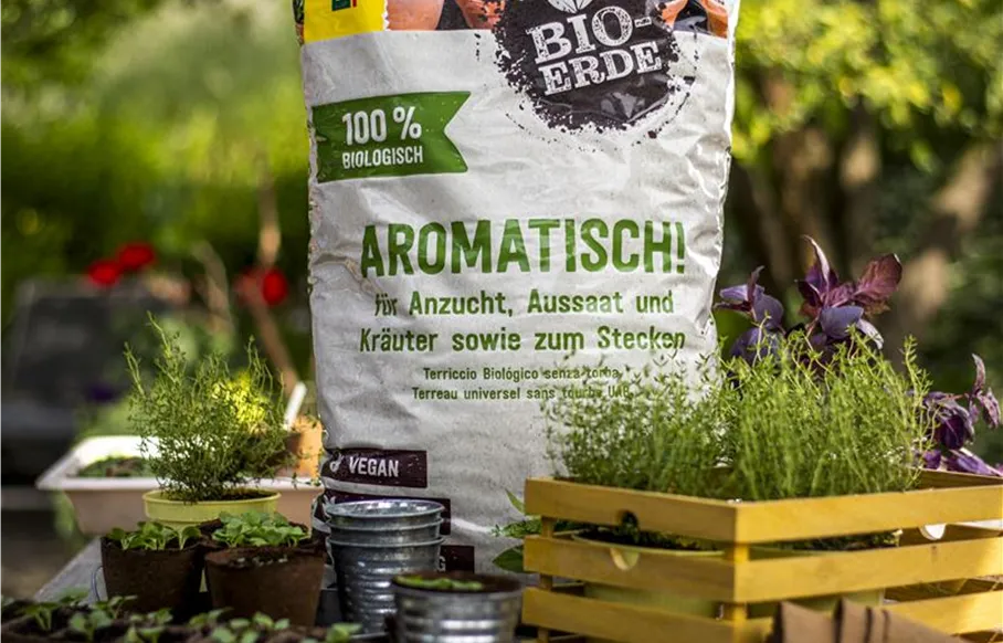 FG_Aromatisch.jpg