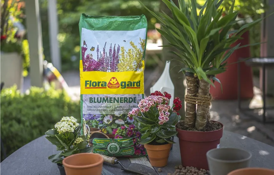 FG_Blumenerde.jpg