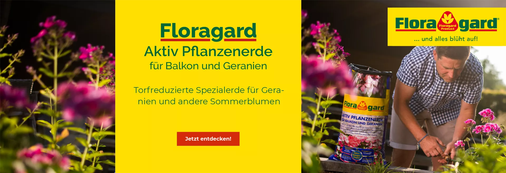 Entdecken Sie unsere Floragard Aktiv Pflanzenerde für Balkon und Geranien Entdecken Sie unsere Floragard Aktiv Pflanzenerde für Balkon und Geranien