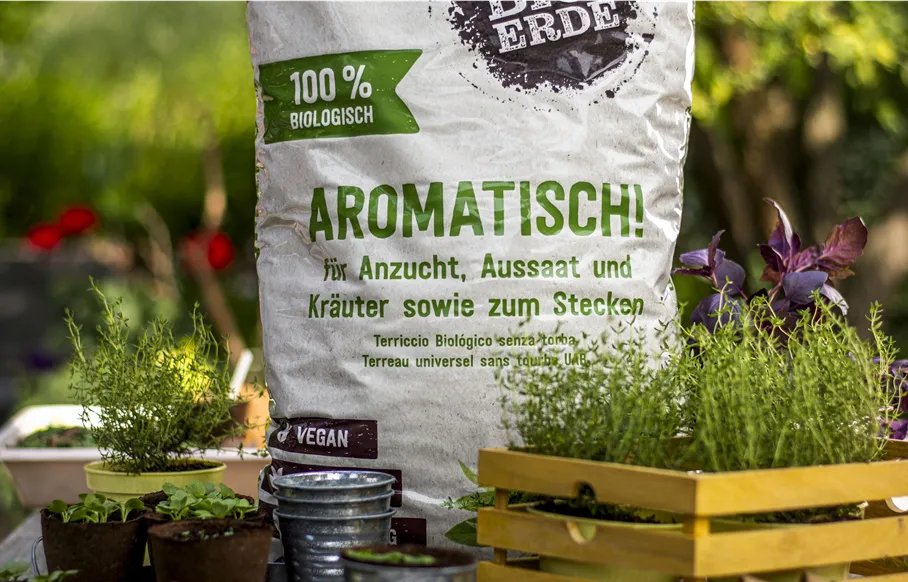 Floragard Bio-Erde Aromatisch Ambiente.jpeg