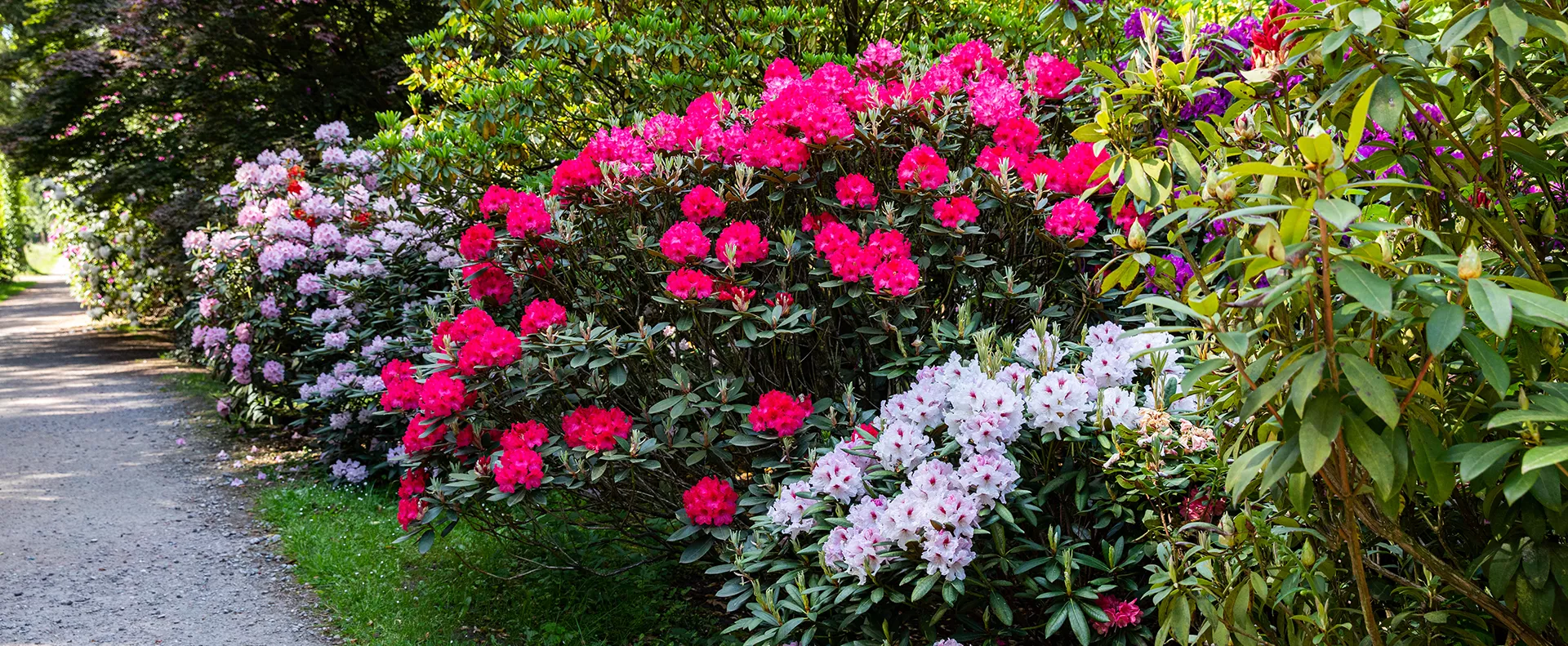 GS_ShoptheLook-Floragard-Bio-Erde-Sauer.png