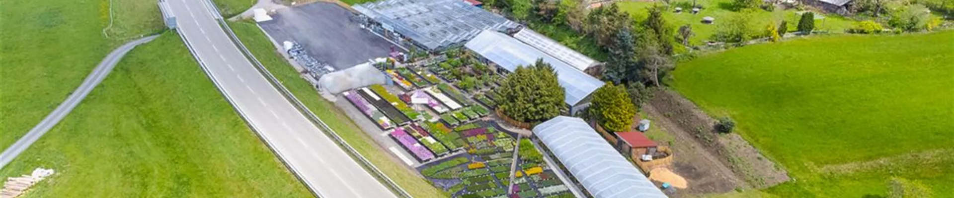 07.05. Blumenwiese Eckert-29_small-size-0-111-1350-759