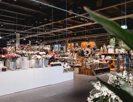 463 - Blumenwiese Eckert-463.jpg