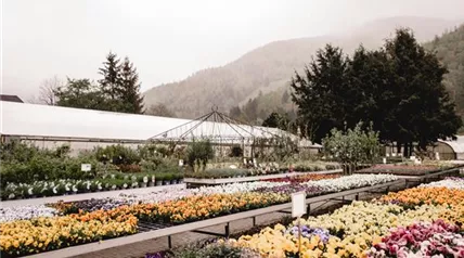 125 - Blumenwiese Eckert-125.jpg