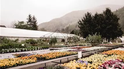 125 - Blumenwiese Eckert-125.jpg