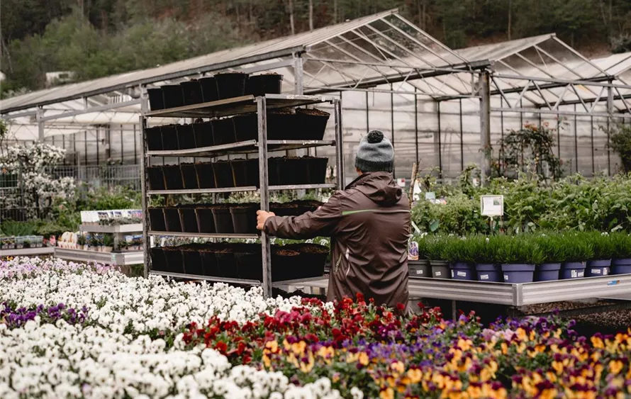 123 - Blumenwiese Eckert-123.jpg