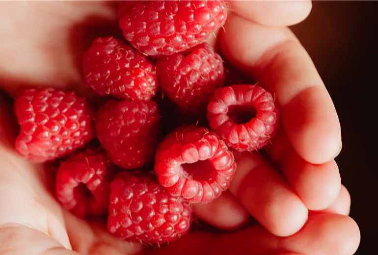 Himbeeren in Kinderhänden