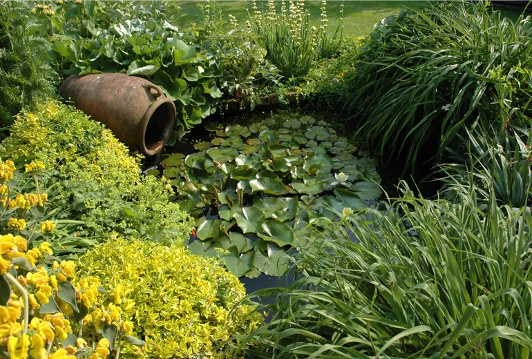 Gartenteich