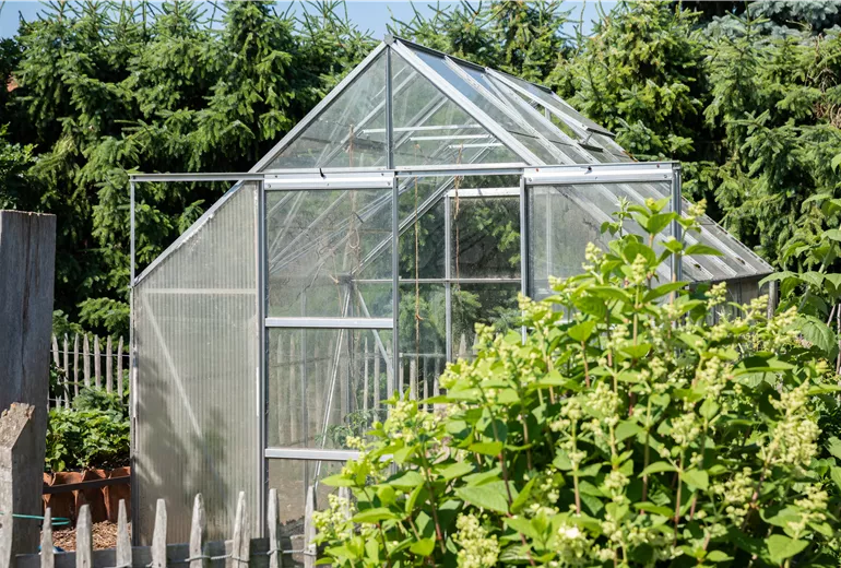 Gewächshaus