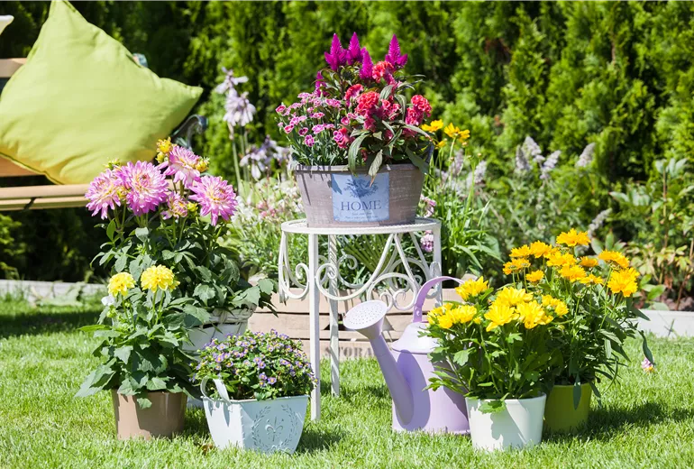 Gartenambiente