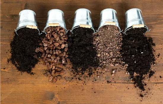 Die passende Erde für die Lieblingspflanzen in Haus und Garten