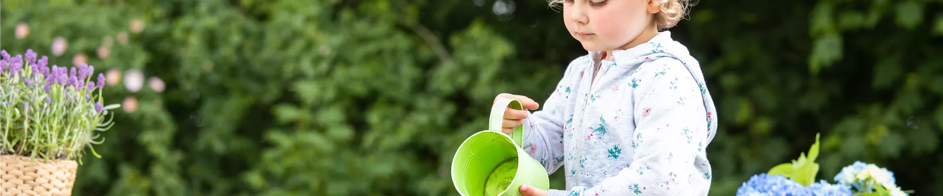 Muttertag - Kind gießt Hortensie