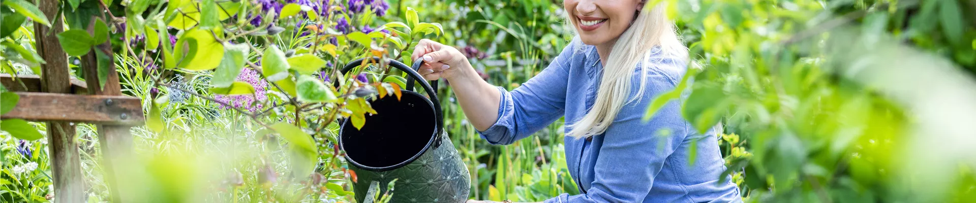 Blumen gießen im Garten
