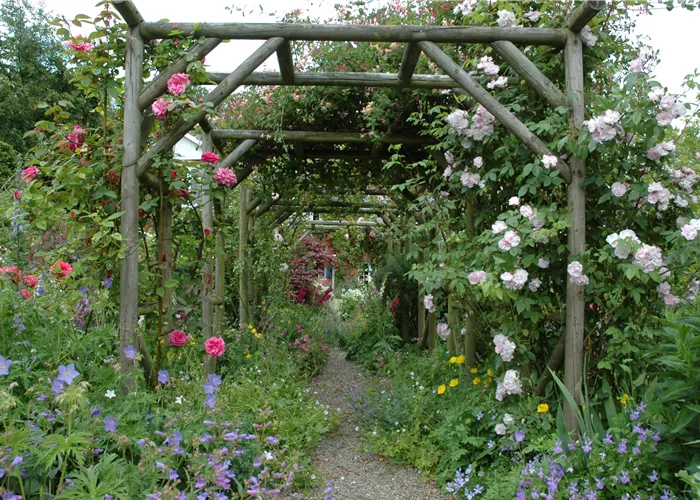 Die richtige Wahl von Rankhilfen für Kletterpflanzen