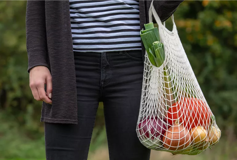 Einkaufsnetz mit Gemüse