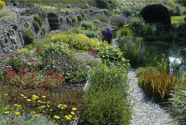 Terrassengarten mit Stauden