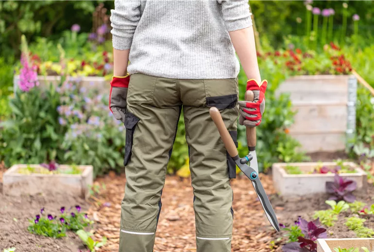 Gartengeräte - Arbeit mit Heckenschere