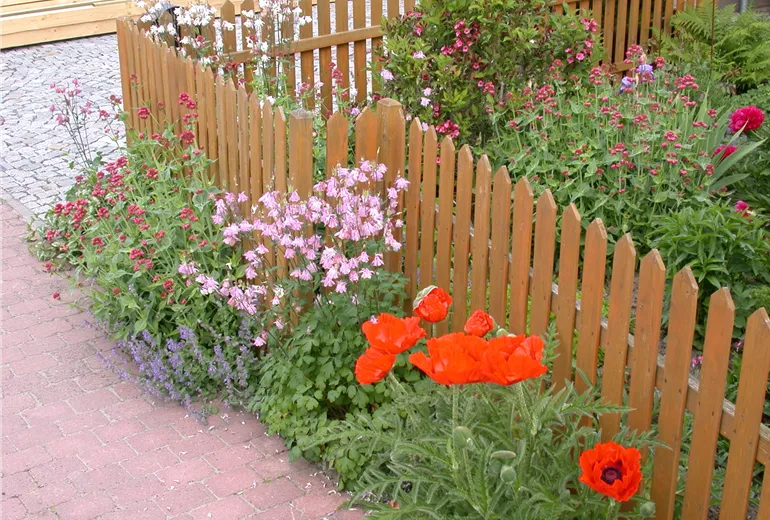Blumen am Gartenzaun