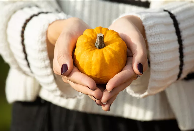 Frau hält Kürbis