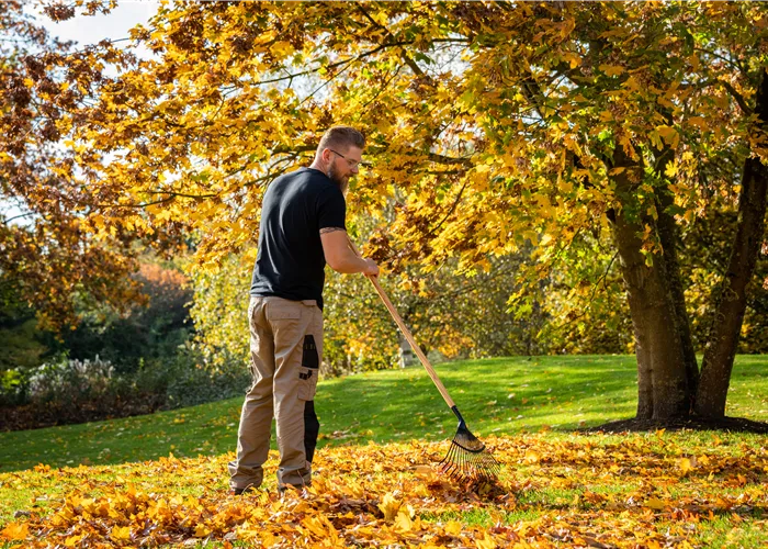 Gartenarbeit im September: Der Herbst beginnt mit bunten Farben