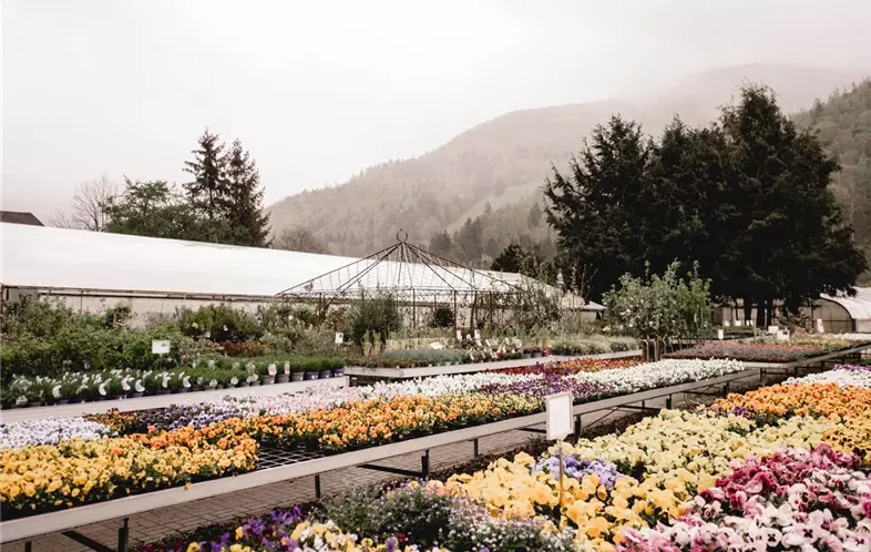 125 - Blumenwiese Eckert-125.jpg