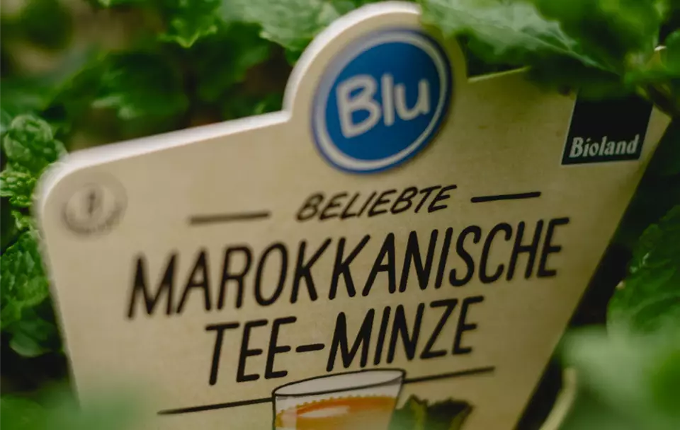 6 - Blumenwiese Eckert-6.jpg